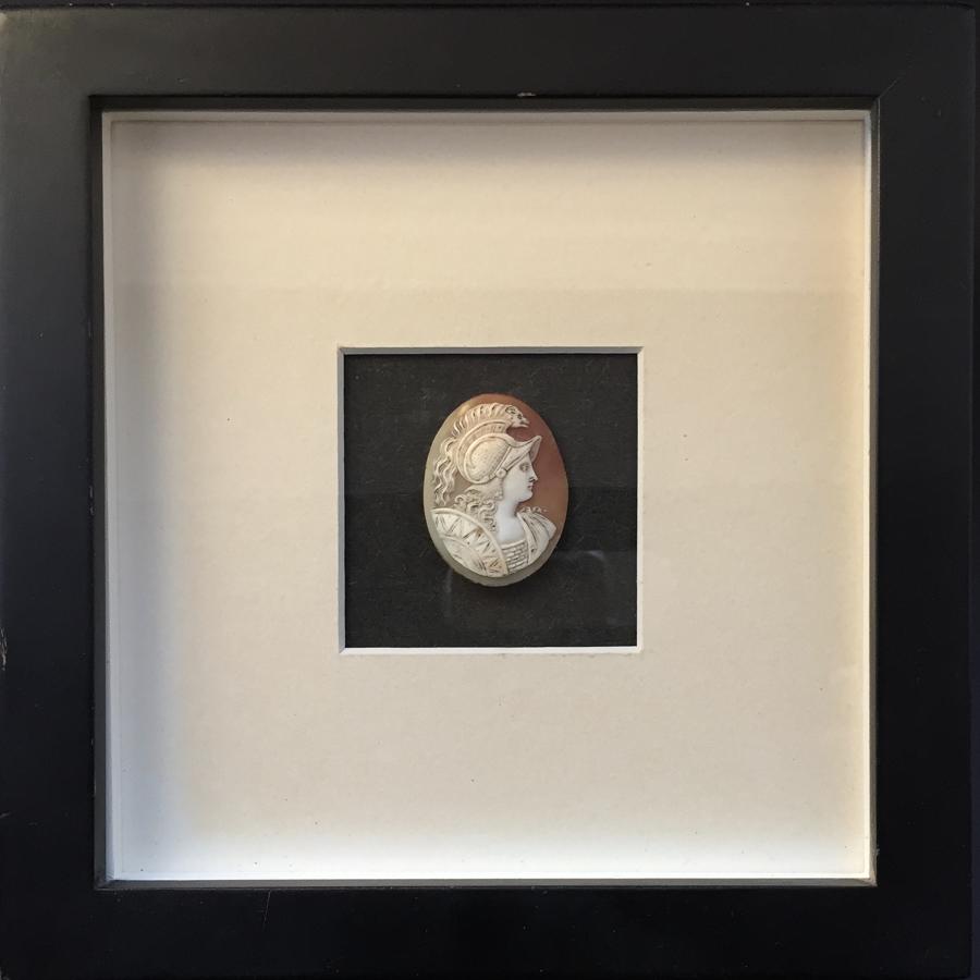 Carved Shell Cameo of Minerva in a shadow box frame