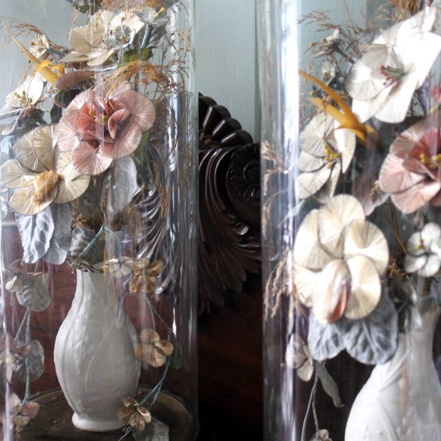 Pair of Victorian Glass Flower Domes