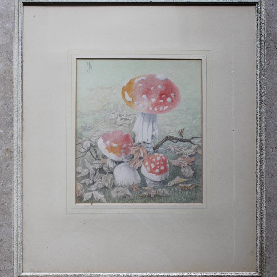Dorothy Burroughes Watercolour of Toadstools