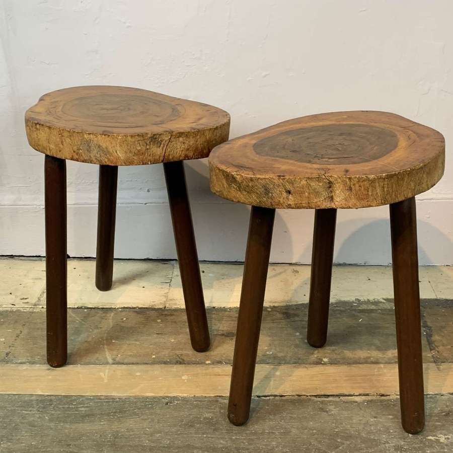 A Pair of Rustic Tree Trunk Slab Tables or Stools