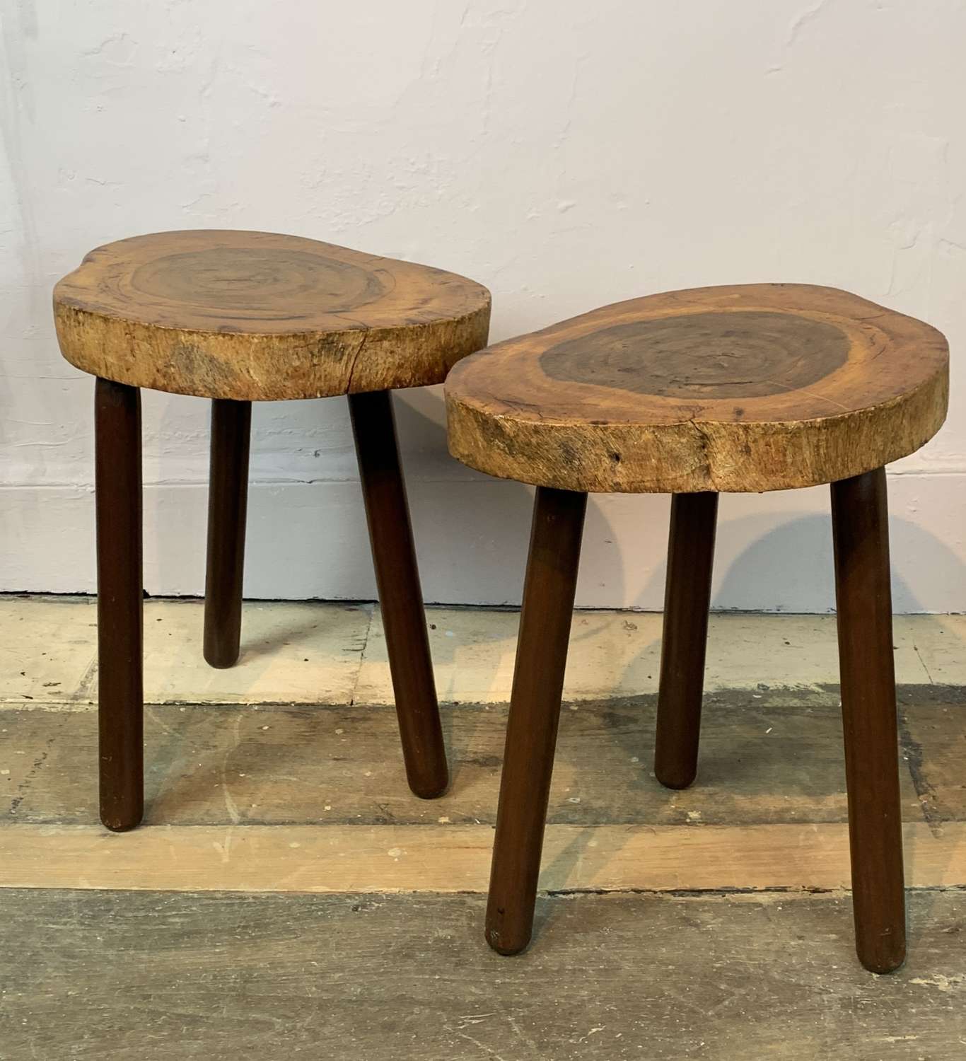 A Pair of Rustic Tree Trunk Slab Tables or Stools