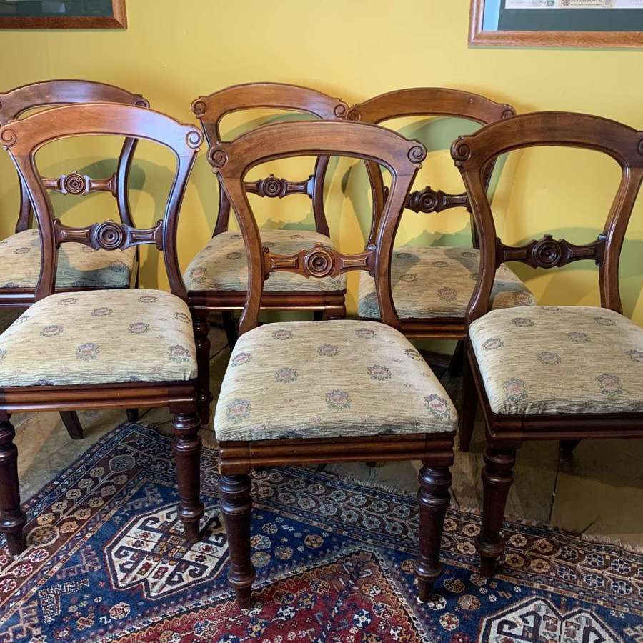 Set of Six Victorian Mahogany Dining Chairs by James Reilly, Mancheste