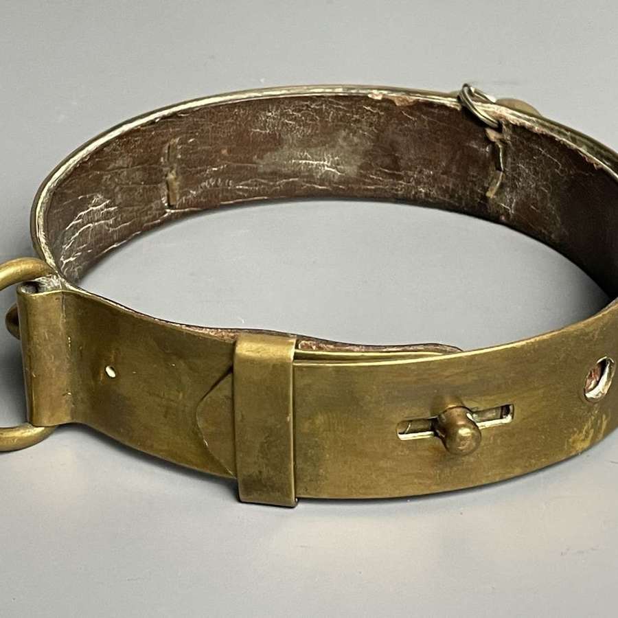 Antique Brass Dog Collar