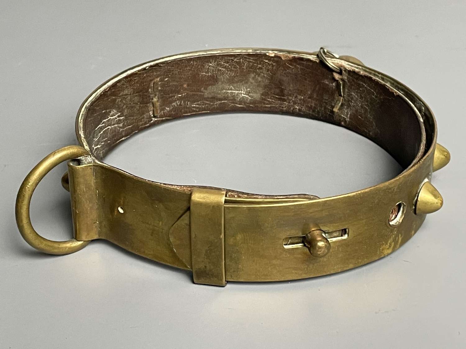 Antique Brass Dog Collar