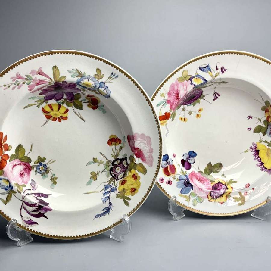 Pair of Derby Botanical Porcelain Soup Plates circa 1820