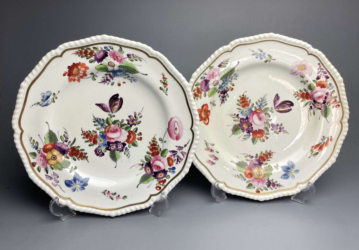 Pair of Bloor Derby Porcelain Botanical Plates circa 1820
