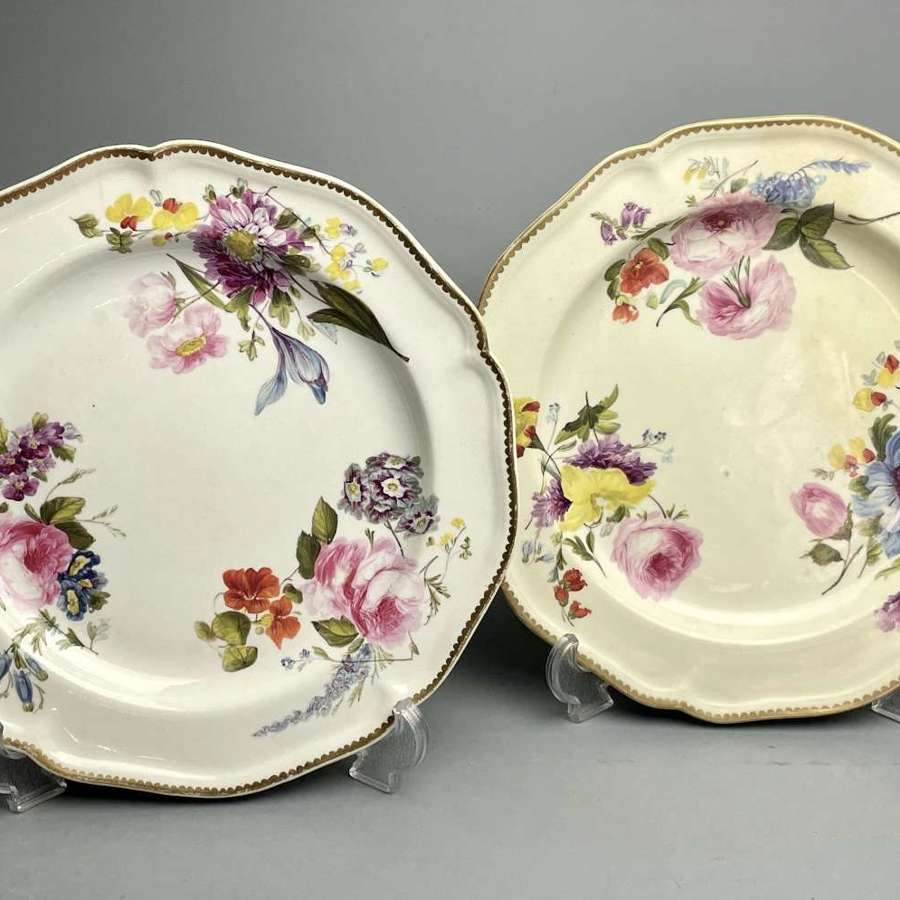 Pair of Derby Porcelain Botanical Plates circa 1820