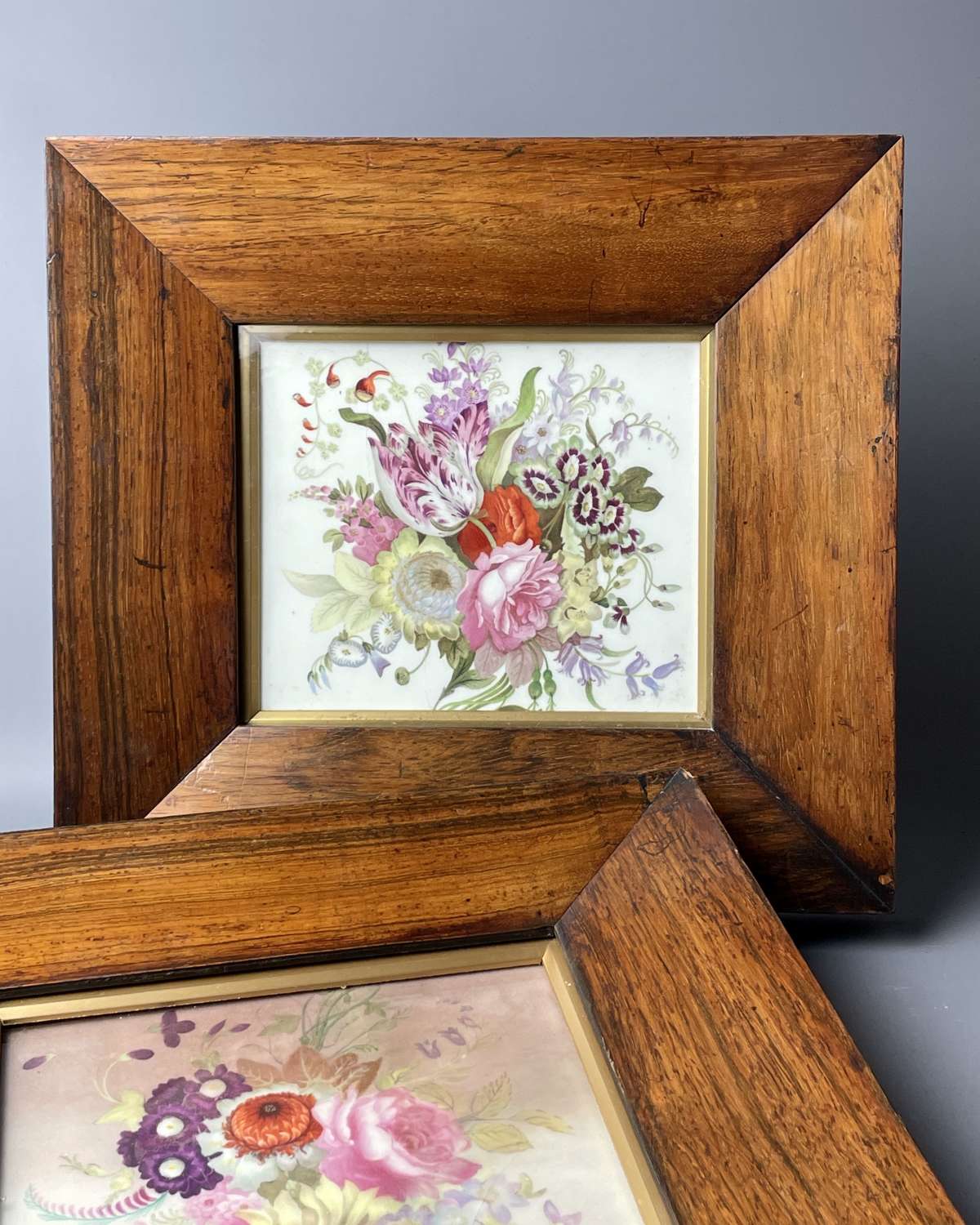 Pair of Victorian Rosewood Framed Botanical Painted Porcelain Plaques