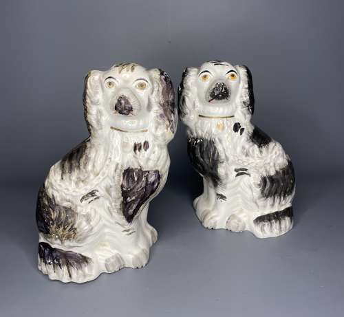 Pair of Victorian Staffordshire Black & White Spaniels