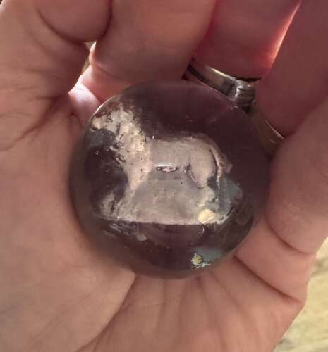 Large German Sulphide Marble with a Lion