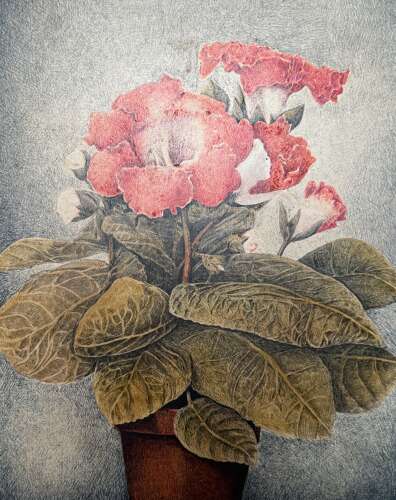 Charles E. Gelb Pen & Ink Still Life of Gloxinia