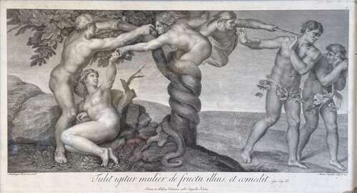 Antonio Capellan after Michelangelo Adam & Eve Tasting the Forbidden Fruit Engraving 1772