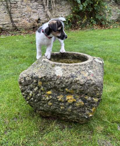 Reclaimed Stone Planter Made Of Stone From The Houses of Parliament Damaged in the Blitz