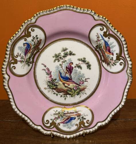 English Porcelain Plate Painted with Birds in the Manner of Thomas Martin Randall