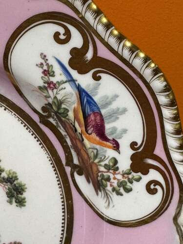 English Porcelain Plate Painted with Birds in the Manner of Thomas Martin Randall