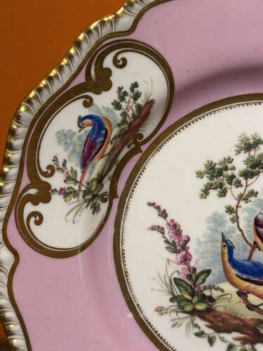 English Porcelain Plate Painted with Birds in the Manner of Thomas Martin Randall